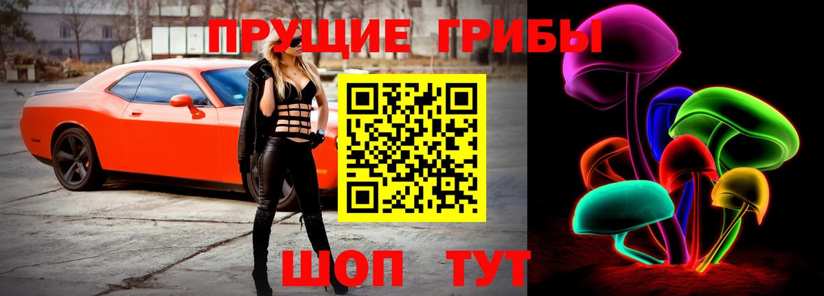 Отрадный  Псилоцибиновые грибы Cubensis  Вход с VPN 